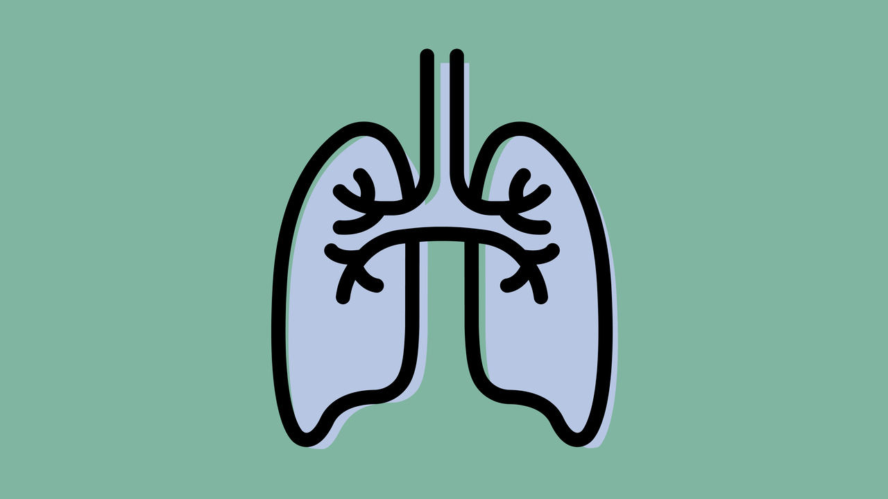 Illustration för forskningsområde Lungmedicin vid Institutionen för folkhälsa och klinisk medicin.