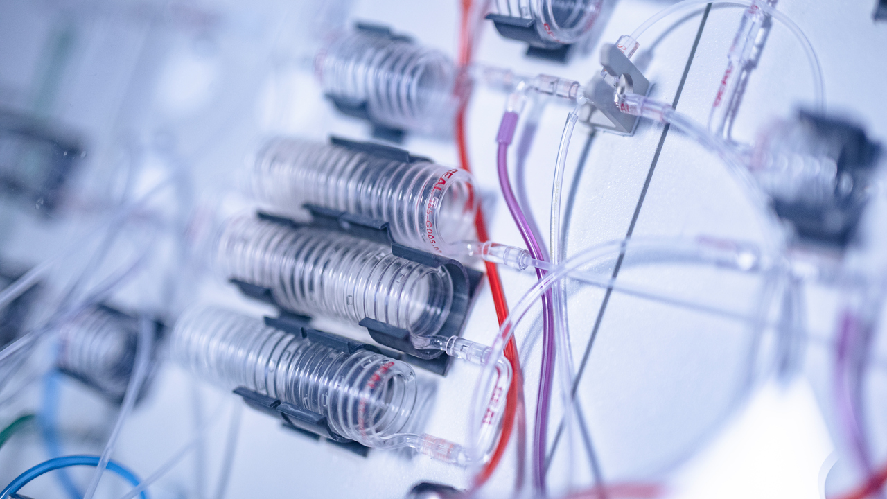 UMF Umeå marina forskningscentrum