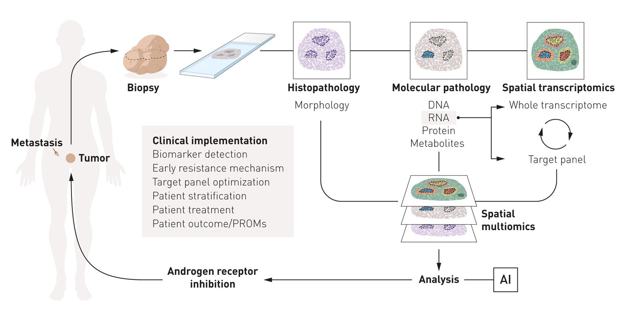 Flödesschema SPRINTR