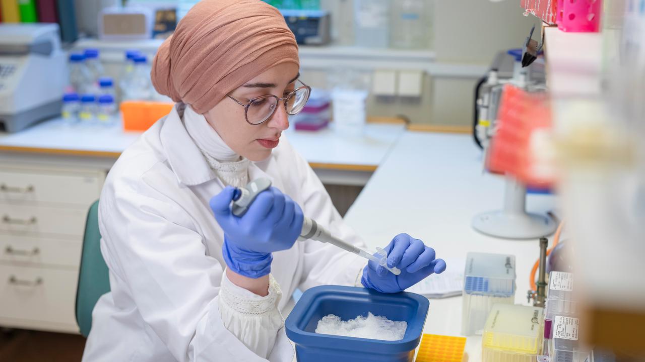 Big ideas welcome: postdoc call in Sweden seeks original thinkers