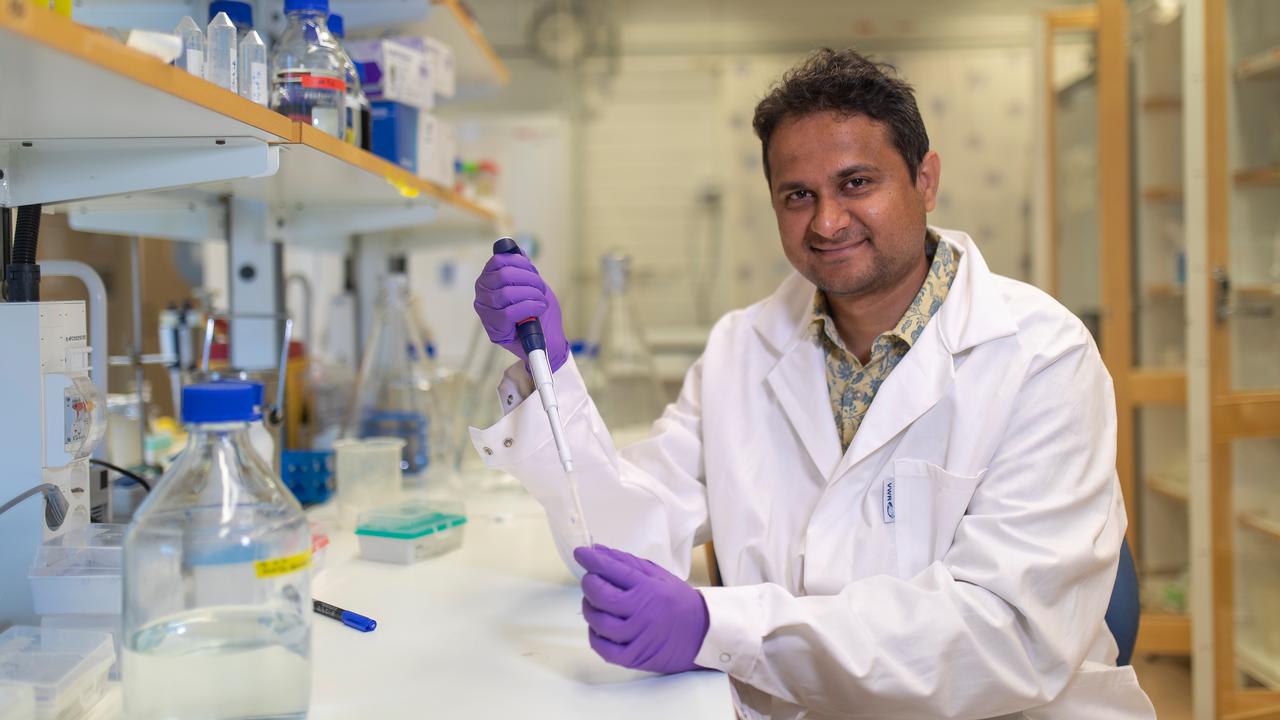 My journey as an ‘Excellence by Choice’ Postdoc in Umeå