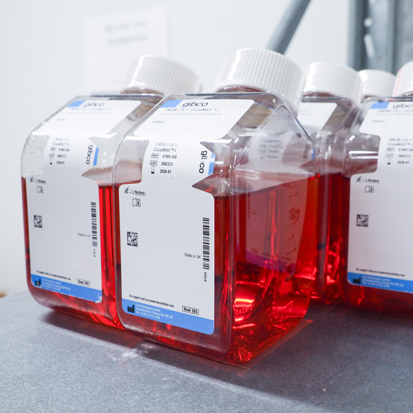 Röd vätska i Kemiförrådet