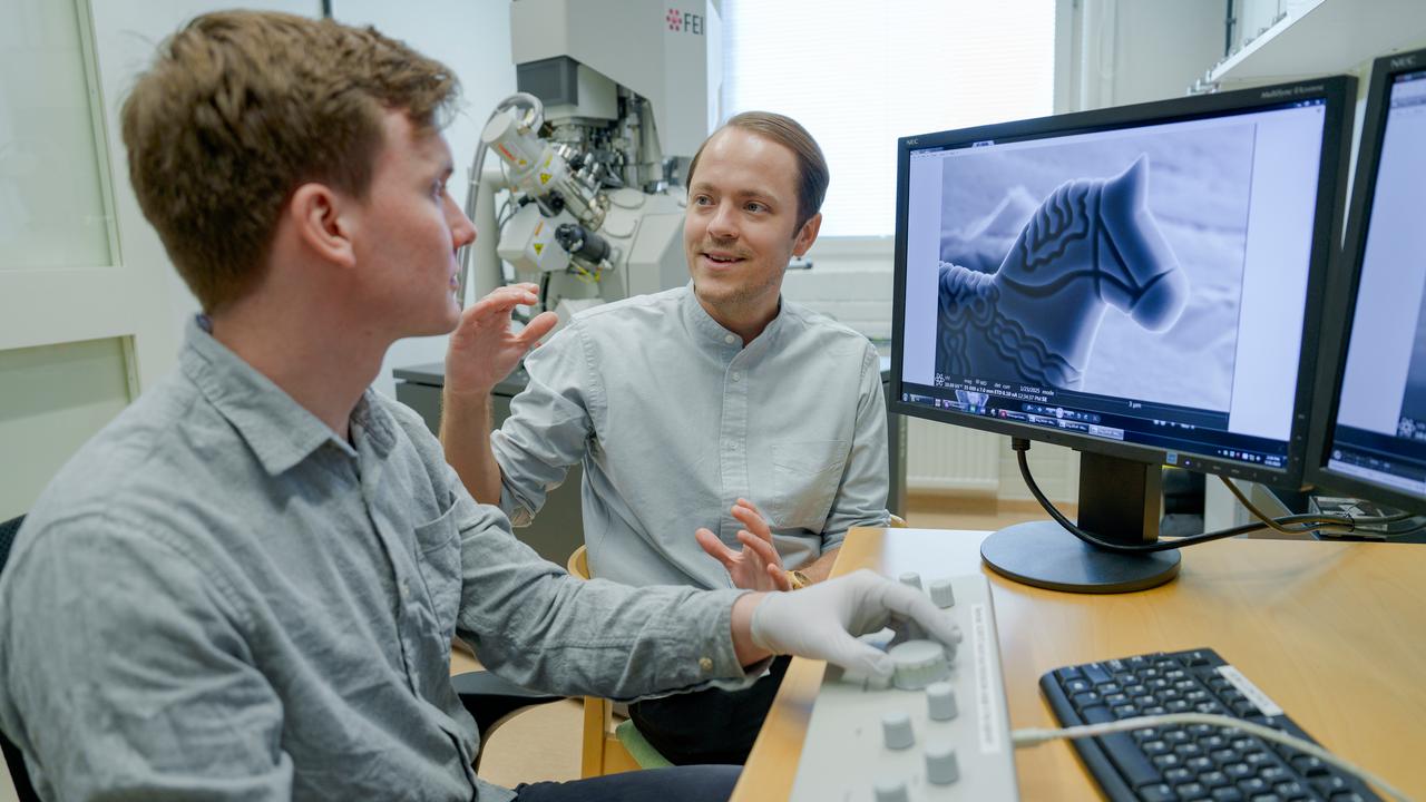 – Erik Olof WikLund, konstnär och examinerande masterstudent vid Konsthögskolan, Umeå universitet– Nils Hauff, staff scientist, Umeå Centre for Electron Microscopy, Umeå universitet, SciLifeLab