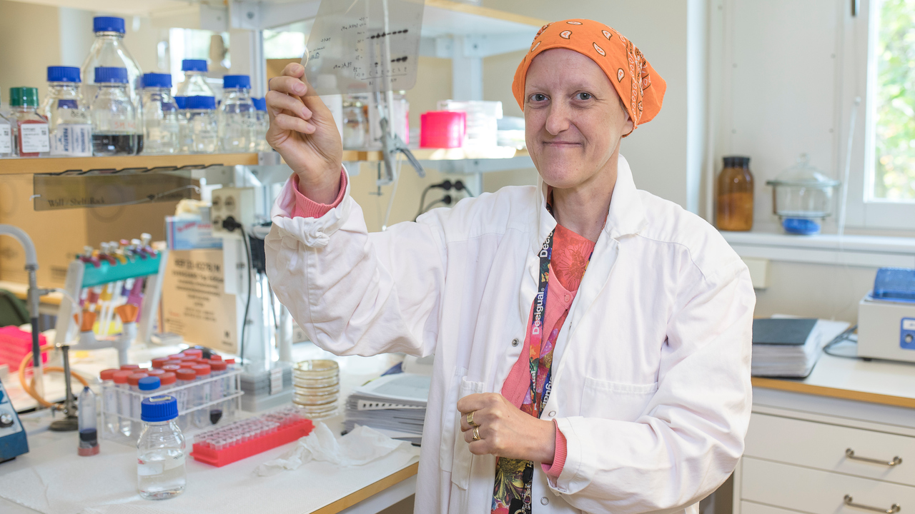 Film:  Filmklipp om Teresa Frisans forskning