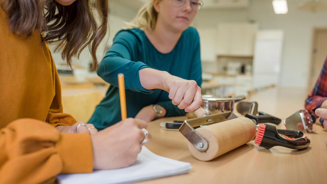 Arbetsterapeutprogrammet