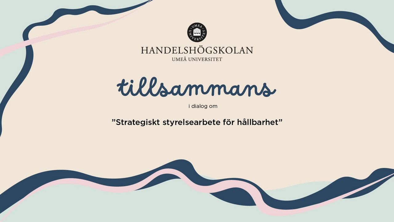 Film: Strategiskt styrelsearbete för hållbarhet