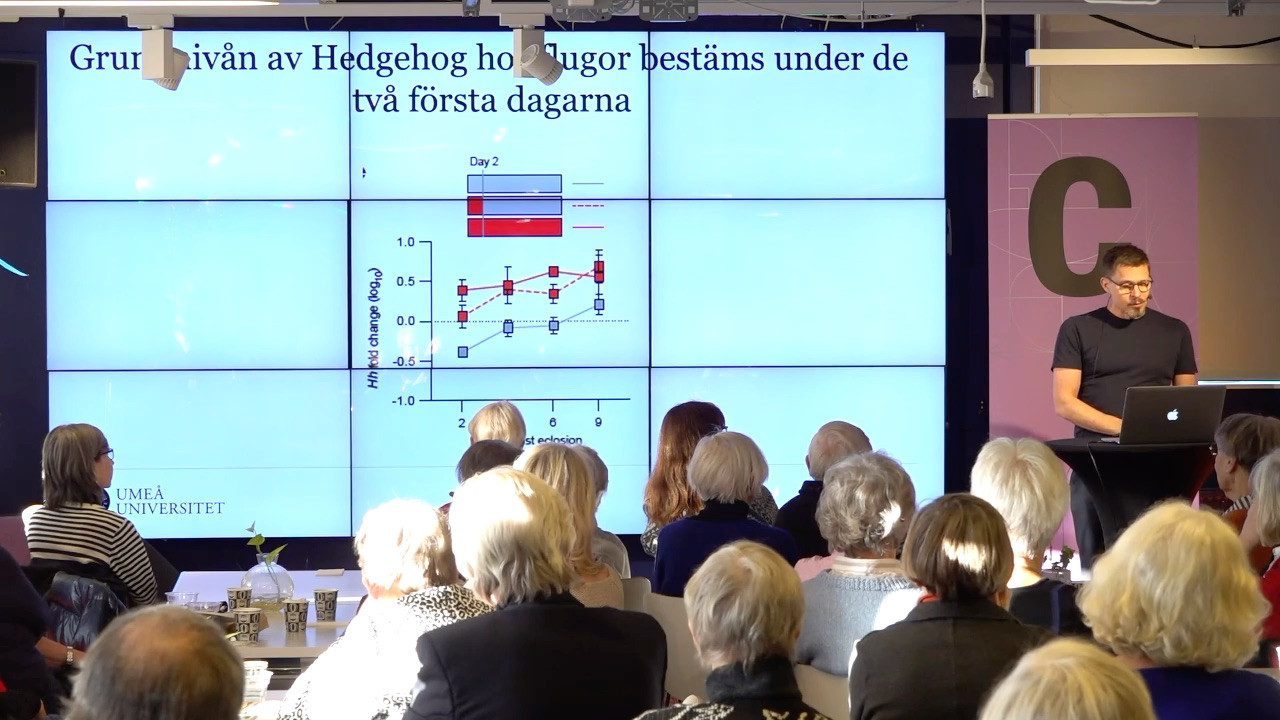 Film: Vikten av lukt och smak - vet kroppen vad vi behöver äta?