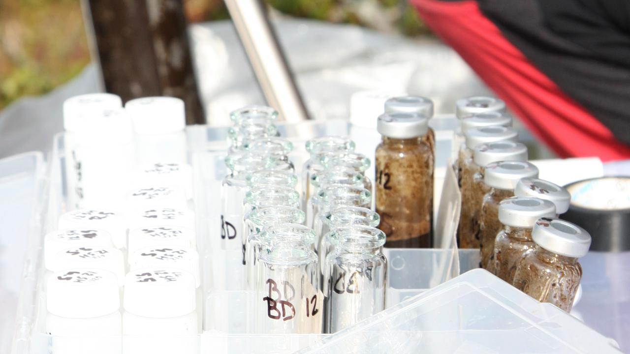 Detaljbild på provutrustning.