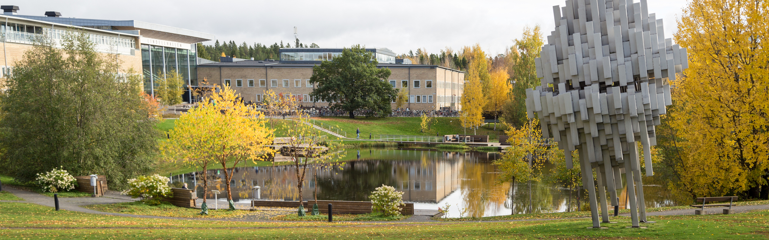 Höstfärger på campus.