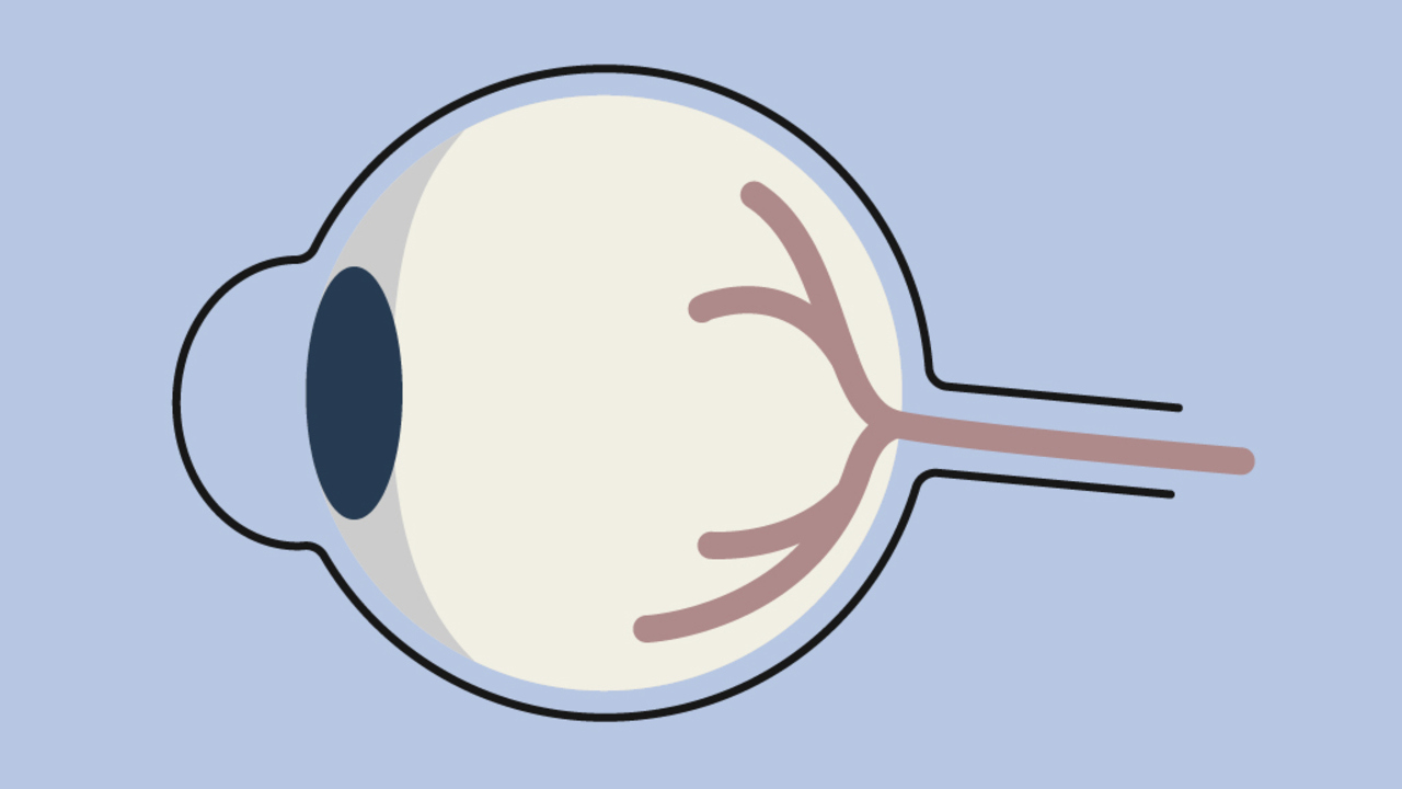 Illustration av ett öga i profil.