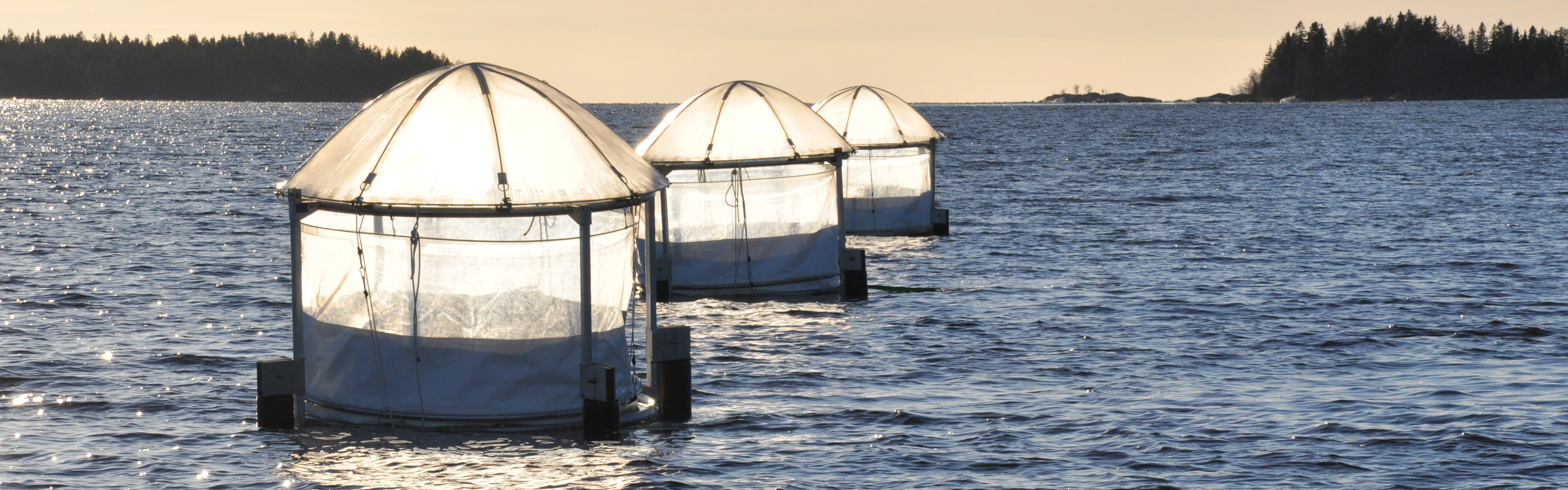 Ställningar med plastsäckar i som ligger placerade i havet.