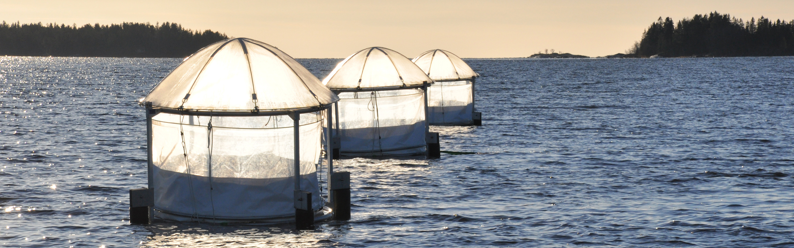 Ställningar med plastsäckar i som ligger placerade i havet.