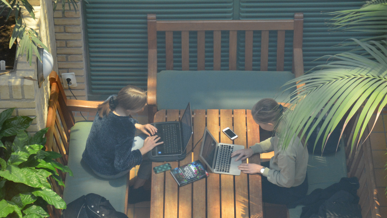 Studenter i Ljusgården