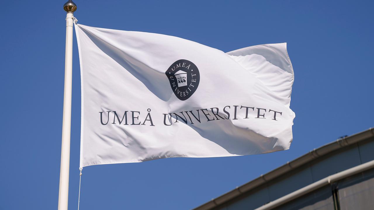 flaggor vid universitetsledningshuset