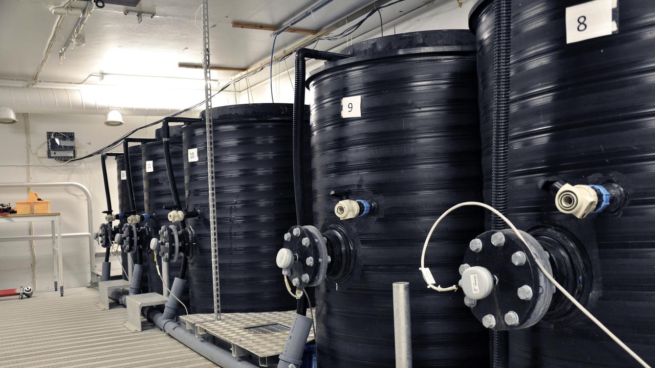 Svarta mesokosmrör markerade med siffror.