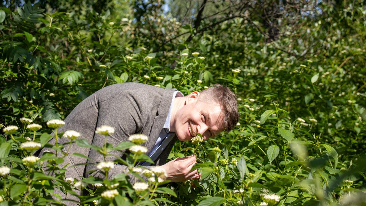 En man i kostym står omgiven av grönska och ler sammtidigt som han luktar på en blomma.