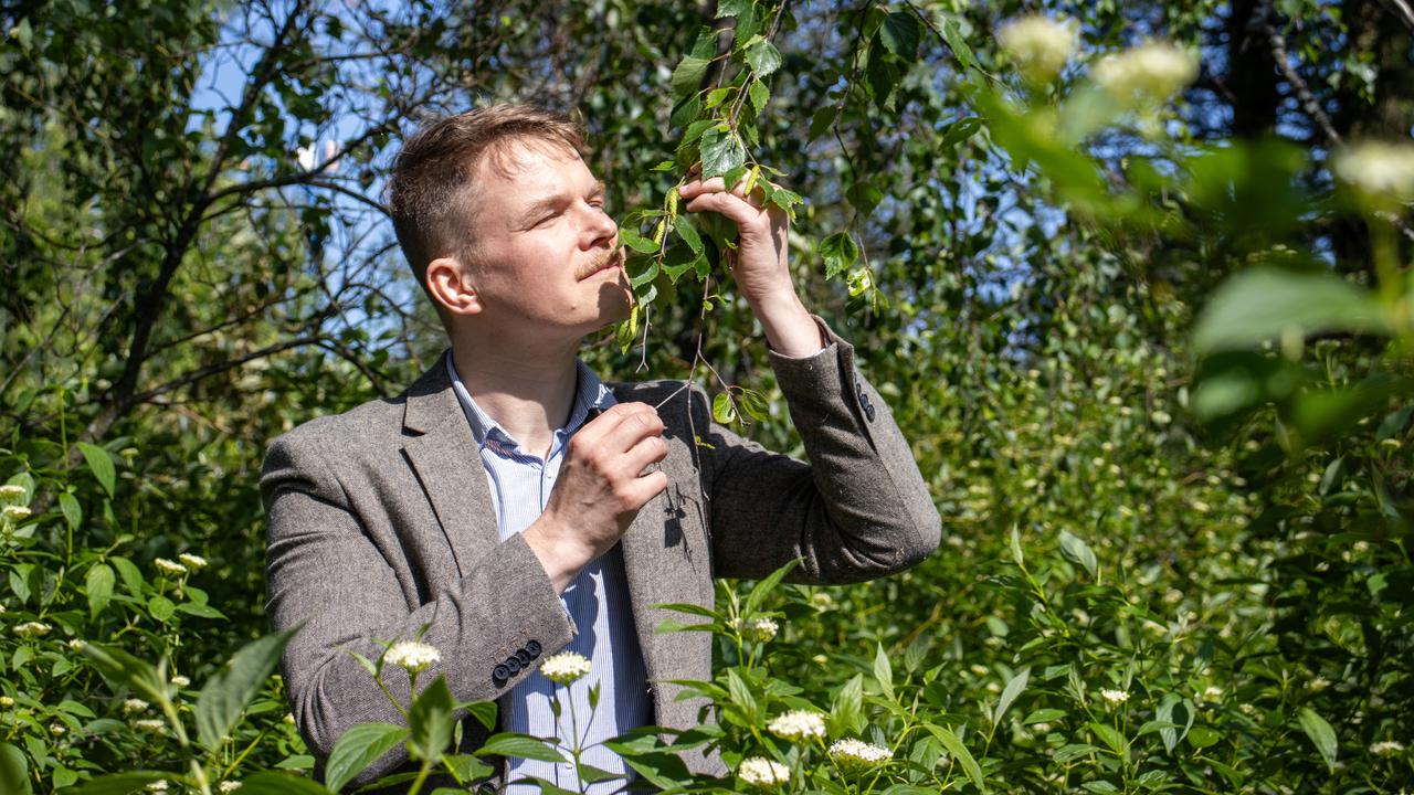 En kostymklädd man luktar på en växt.