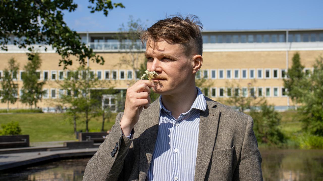 En man står framför en byggnad och luktar på en blomma.