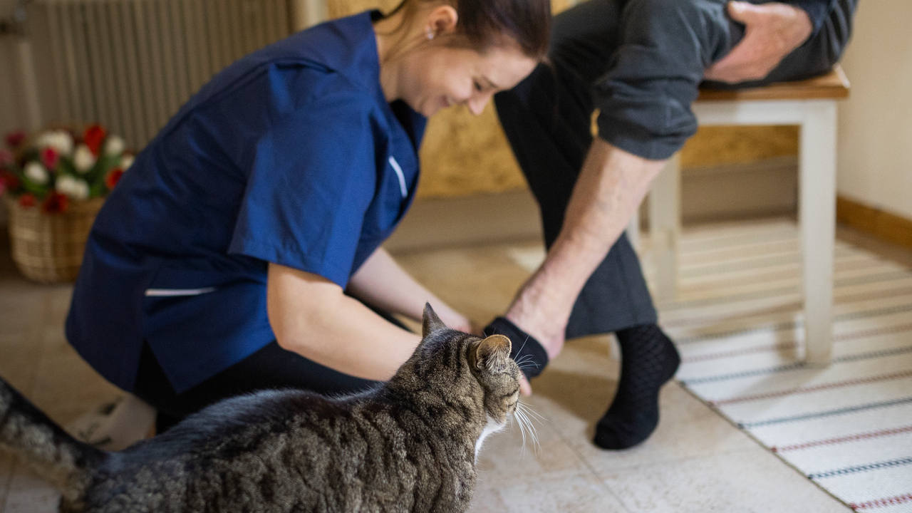 Hemtjänstkvinna sätter strumpa på brukare med katt