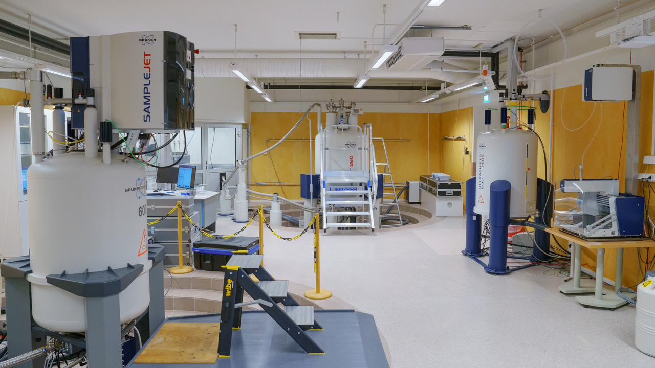 The Umeå NMR Lab with our three high field NMR magnets
