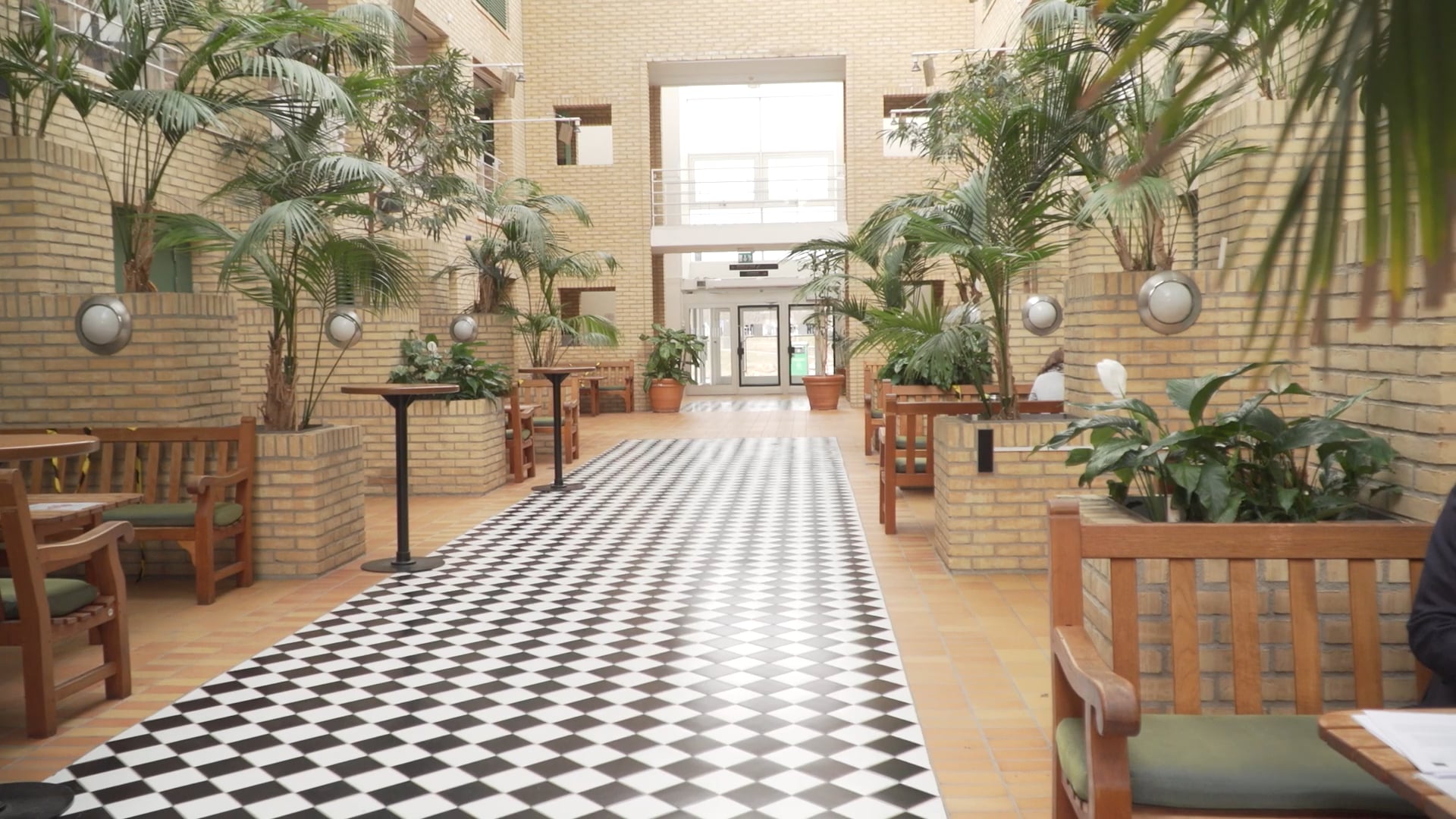 Film: Se film om Mikael Stattins forskning