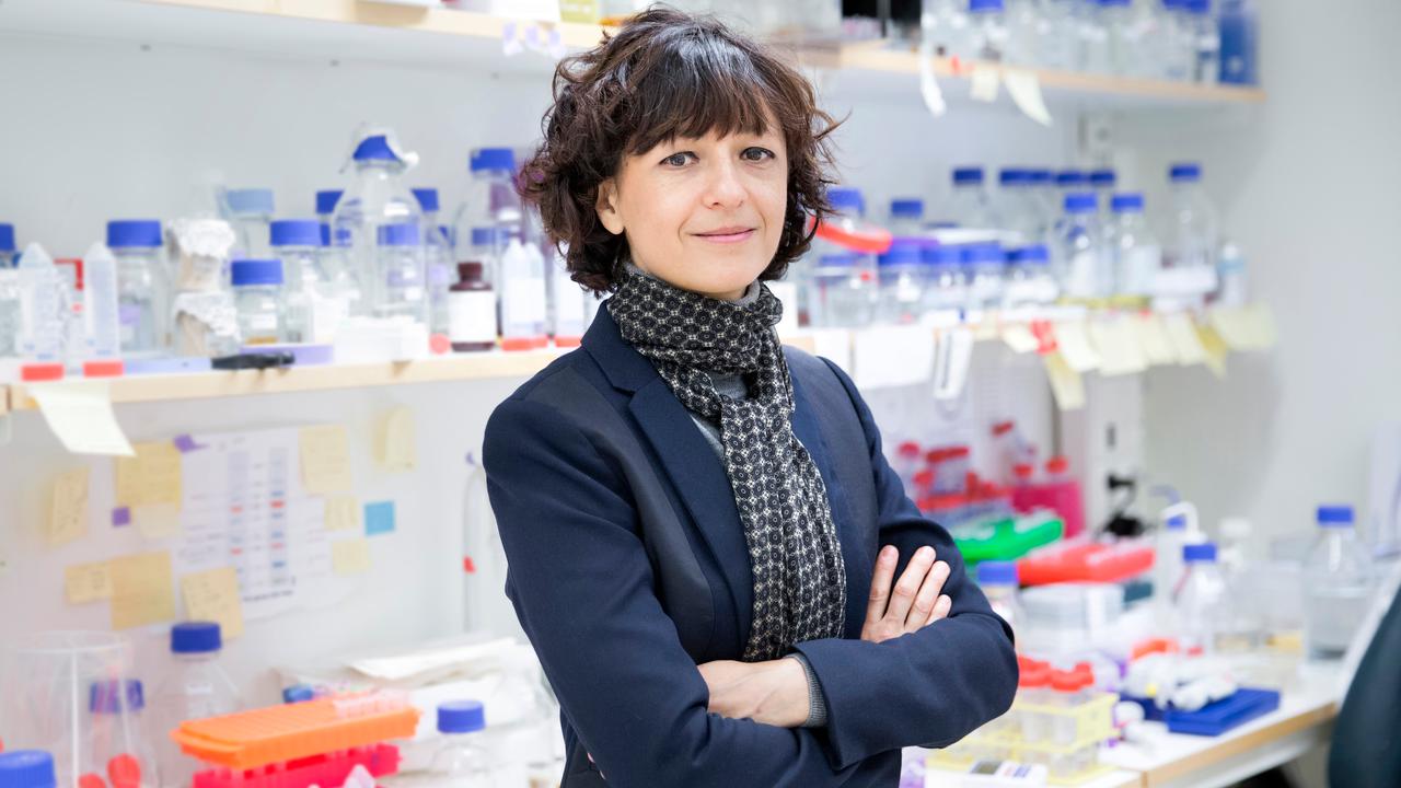 Bild på Emmanuelle Charpentier