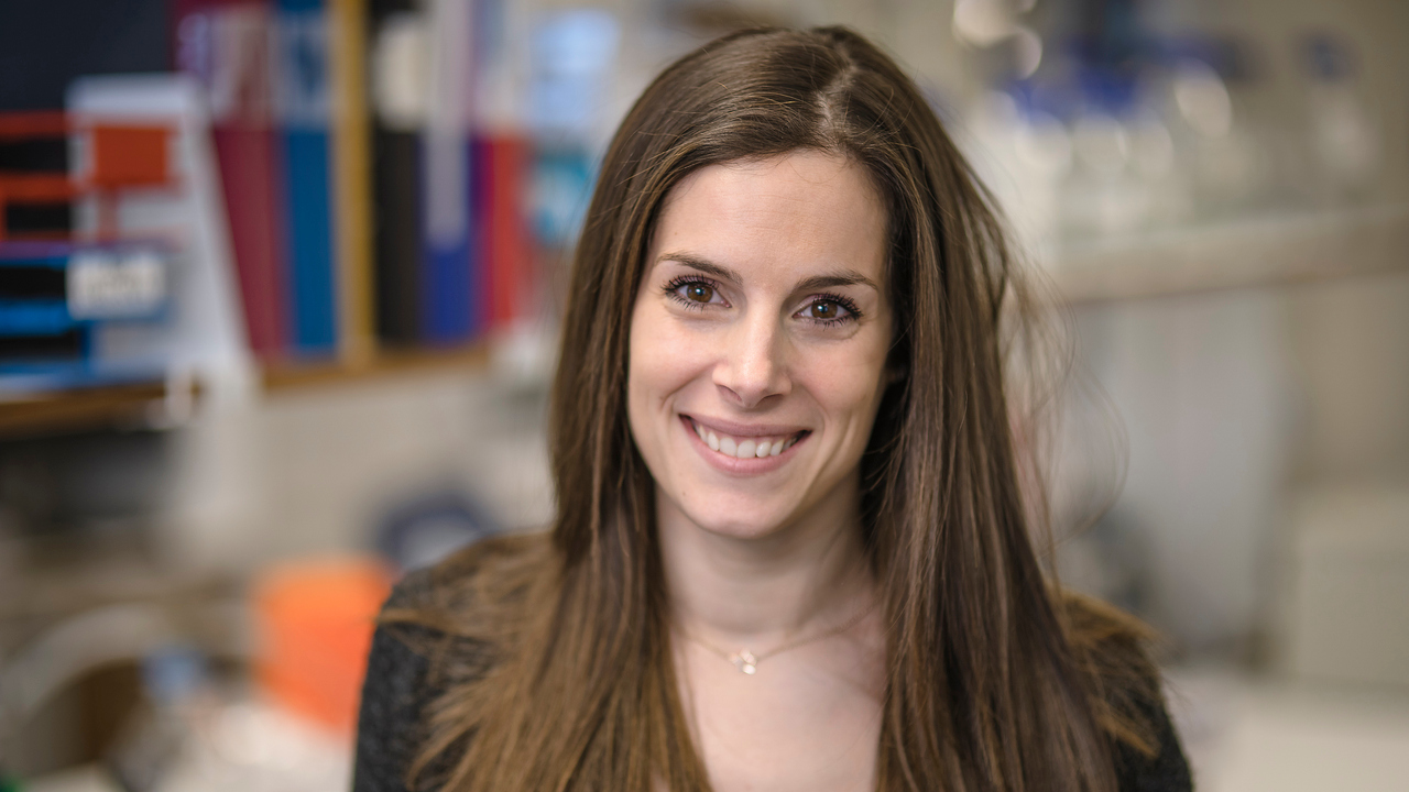 Film: Forskning på ett ögonblick