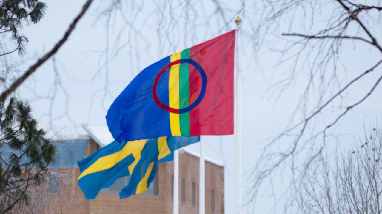 Den samiska flaggan vajar bredvid två svenska på flaggstängerna på campus Umeå.