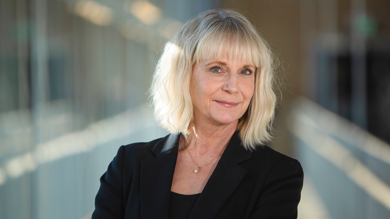 Malin ErikssonProfessor vid Institutionen för socialt arbete