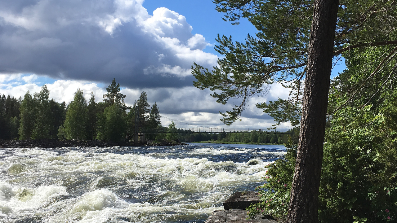 Bild på fors i Vindelälven. Tallar, blå himmel och moln.