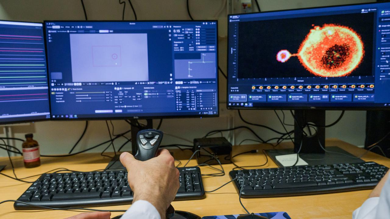 C-trap, Umeå Plant Science Centre, research infrastructure, biomolecular interactions, optical tweezer, Rubén Casanova Sáez, Léa Bogdziewiez