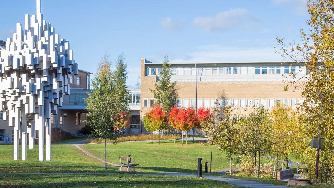 Bild på höstfärger på campus