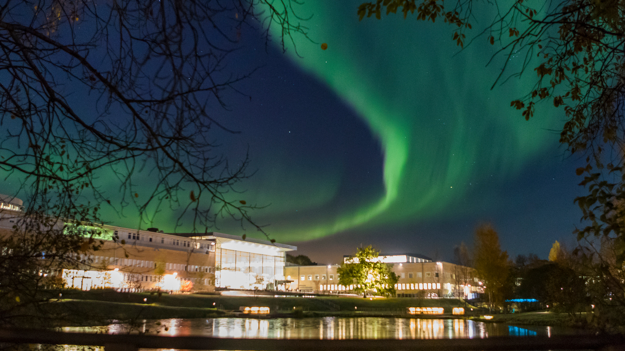 Bild på Norrsken över campus