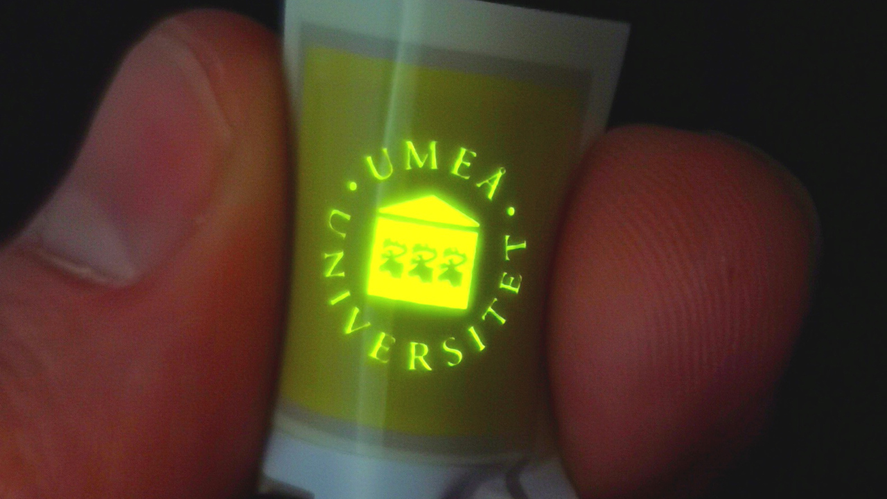 LEC med Universitets logotyp i lysande gulgrönt sken.