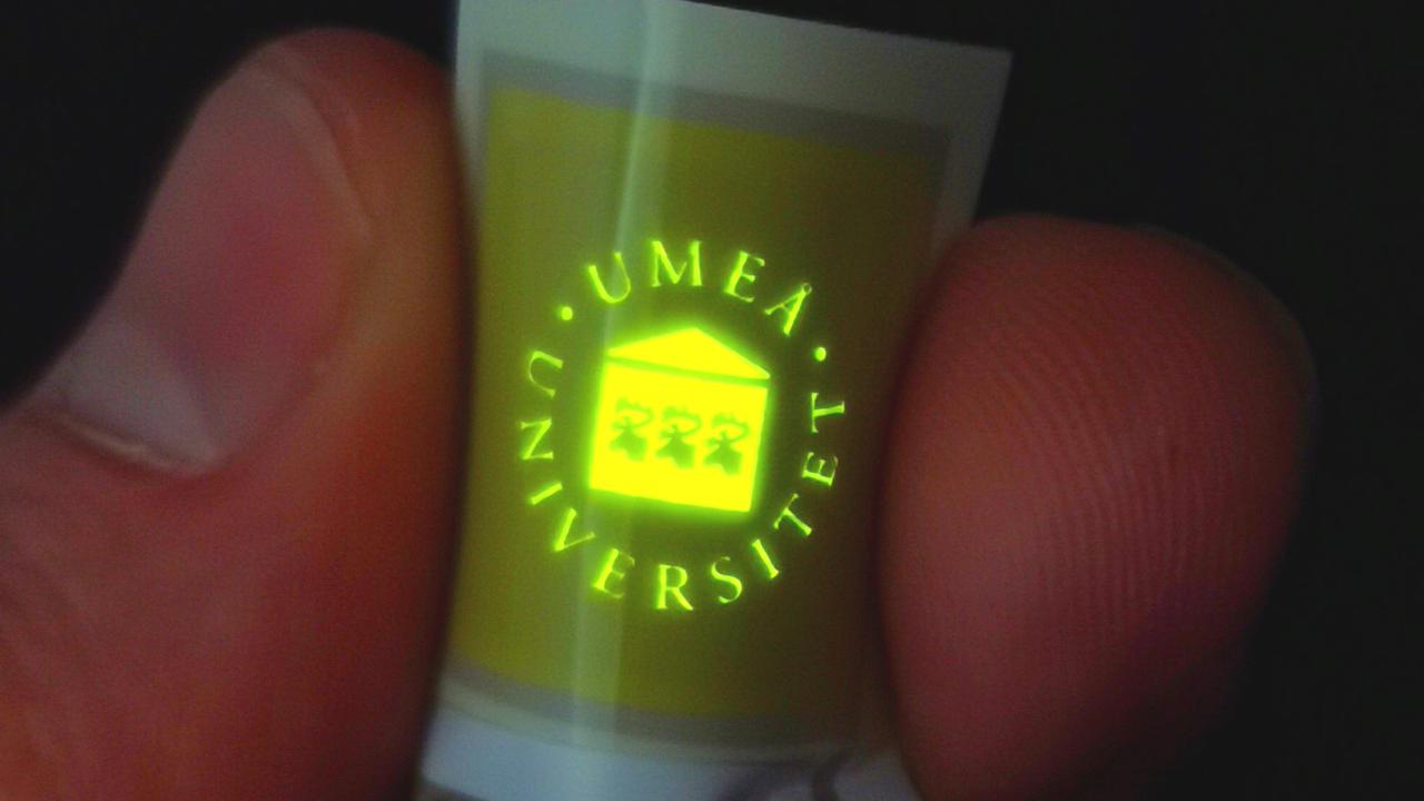 LEC med Universitets logotyp i lysande gulgrönt sken.