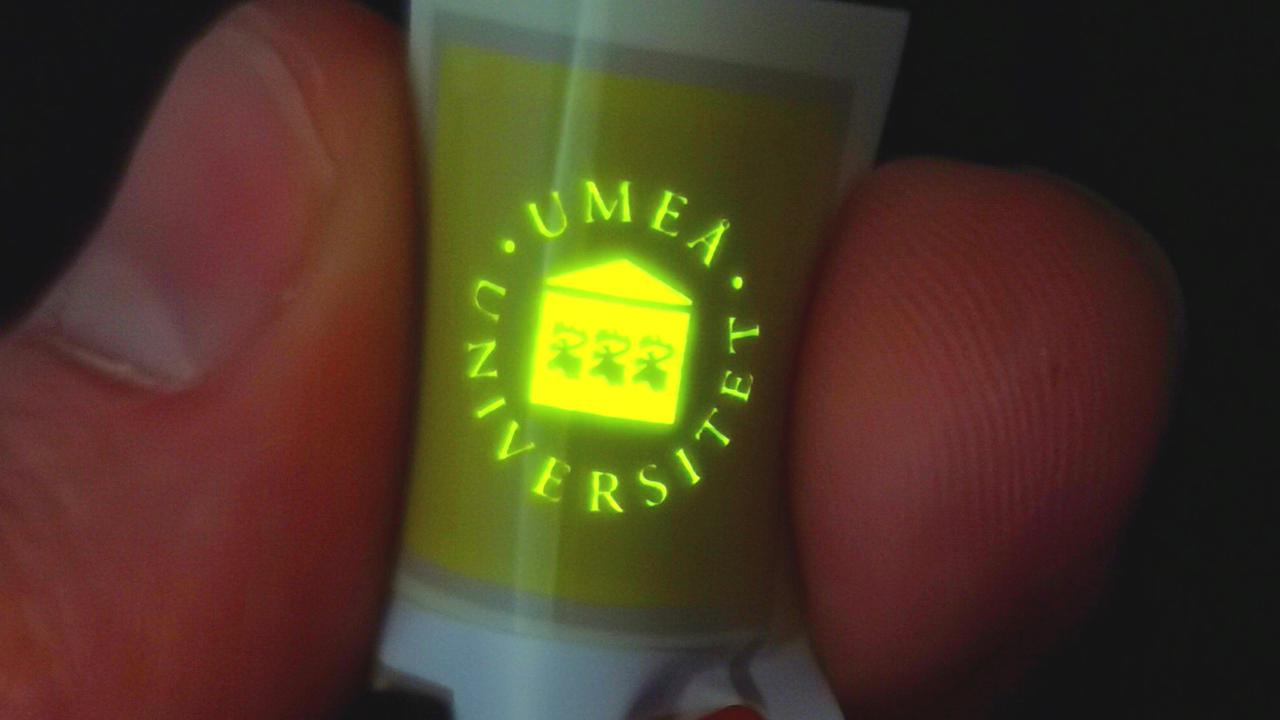 LEC med Universitets logotyp i lysande gulgrönt sken.