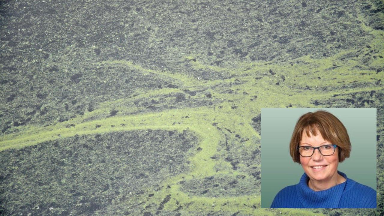 Illustration of circular bioeconomy.