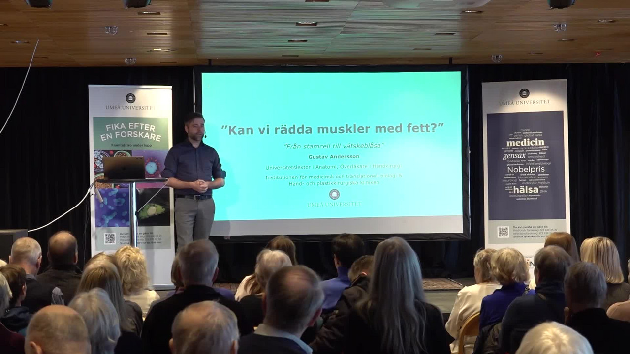 Film: Kan vi rädda muskler med fett?