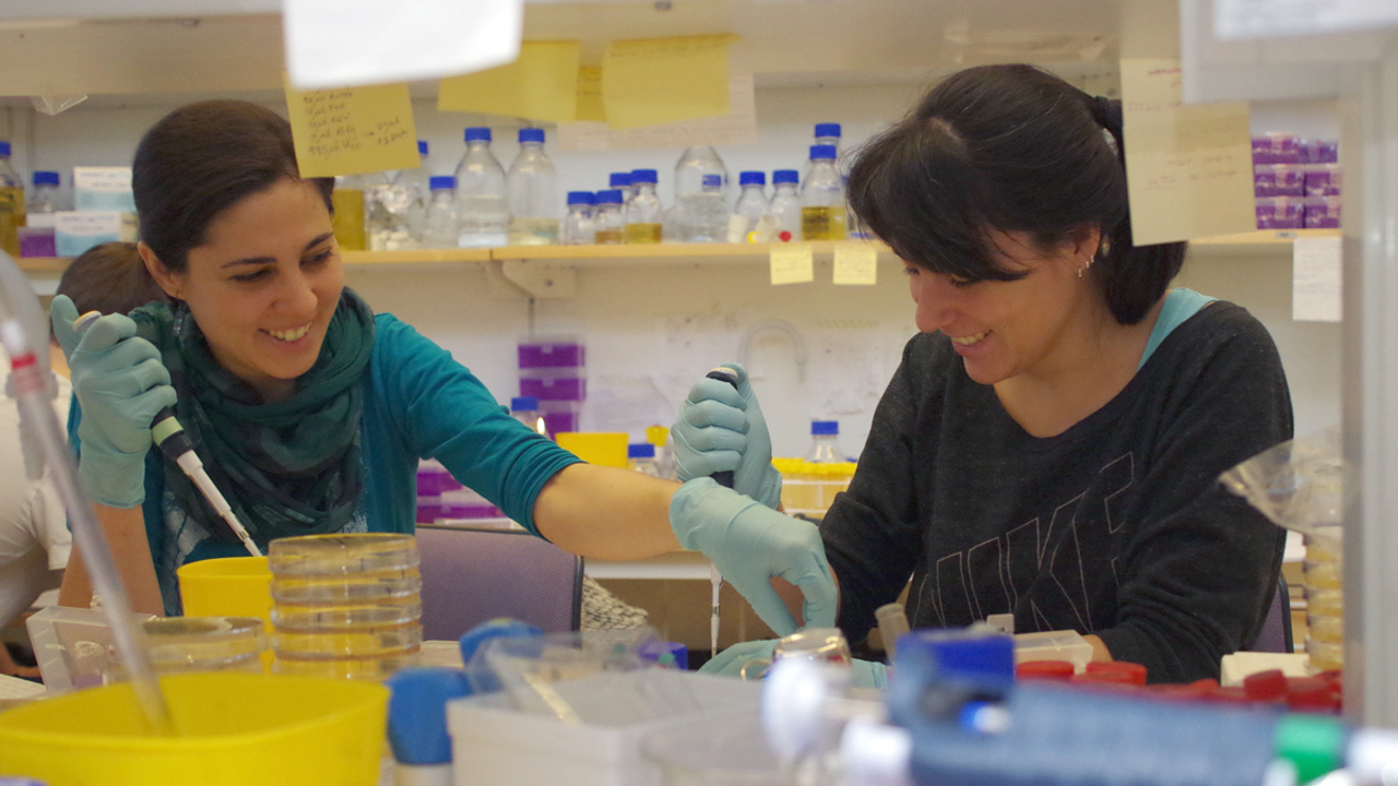 Interiörbild från arbete i laboratoriet