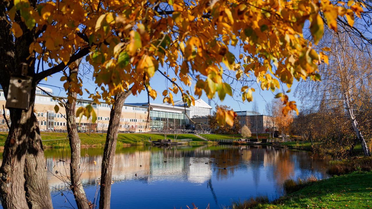 Campus i höstfärger