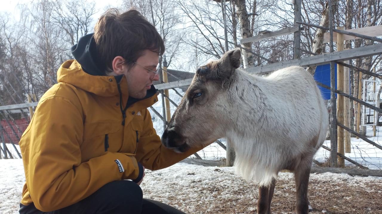 Rico Krause with reindeer.