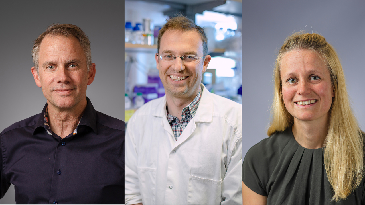 Mattias Forsell, Johan Norman och Julia Wigren Byström.