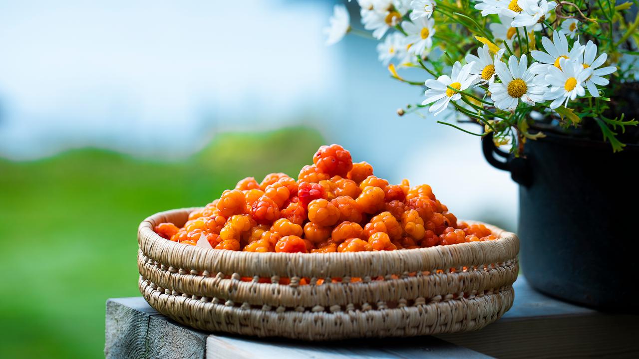 En korg med hjortron på en träbänk. Till höger om hjortronen står en mörkblå kruka med vita blommor i.