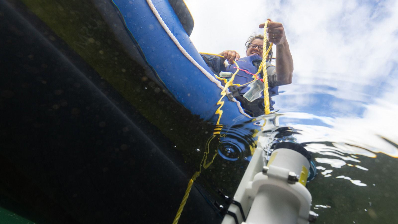 Bilder är tagen under vattenytan, med kameran riktat uppåt mot forskaren som sitter i en båt. Hon håller i ett rep och drar upp en testanordning från vattnet.