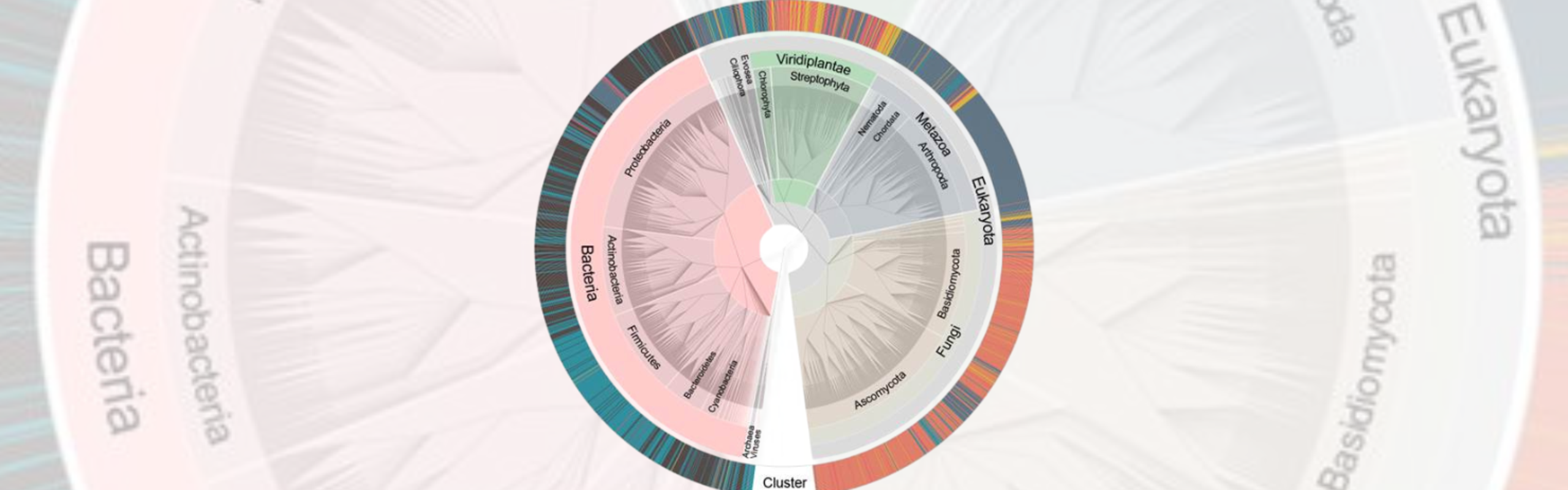 Kiruna air filter phylogenetic tree of species found