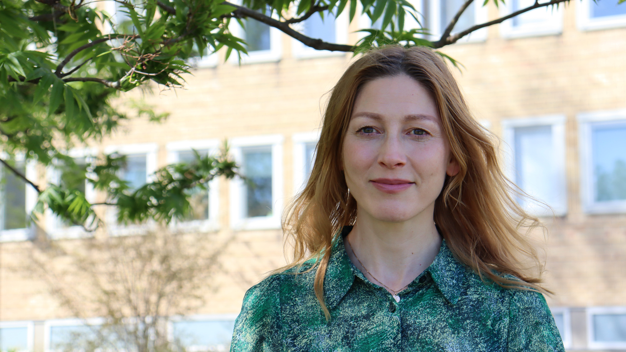 Liselotte eriksson, Docent i ekonomisk historia och lektor vid Umeå centrum för genusstudier, vid Umeå universitet