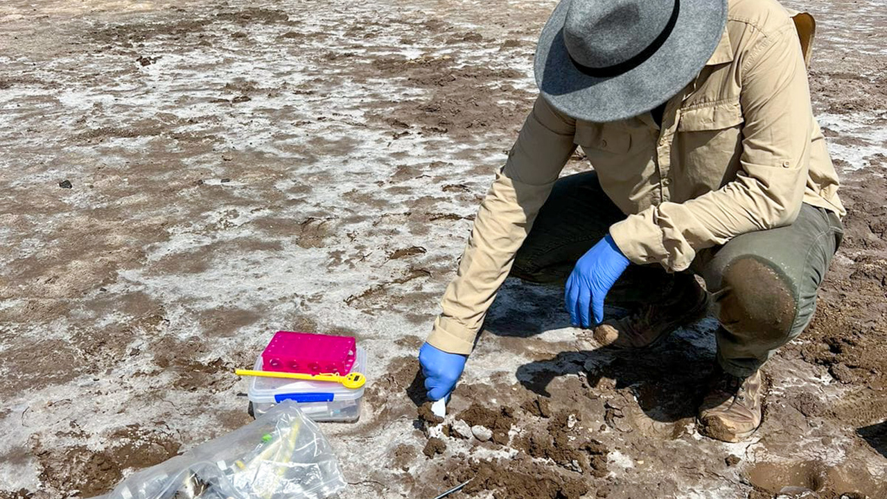 Alef dos Santos samlar in saltprover från botten av den vulkaniska Al Wahbah-kratern. Från provet upptäckte han 48 bakteriestammar som klarar av att leva i den extrema miljön.