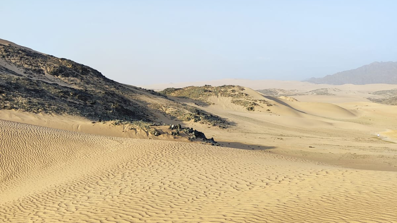 Öknen kring kratern Al Wahbah i Saudi Arabien, som påminner om den fiktiva sandplaneten Arrakis, är ett ogästvänligt ställe för de flesta organismer.