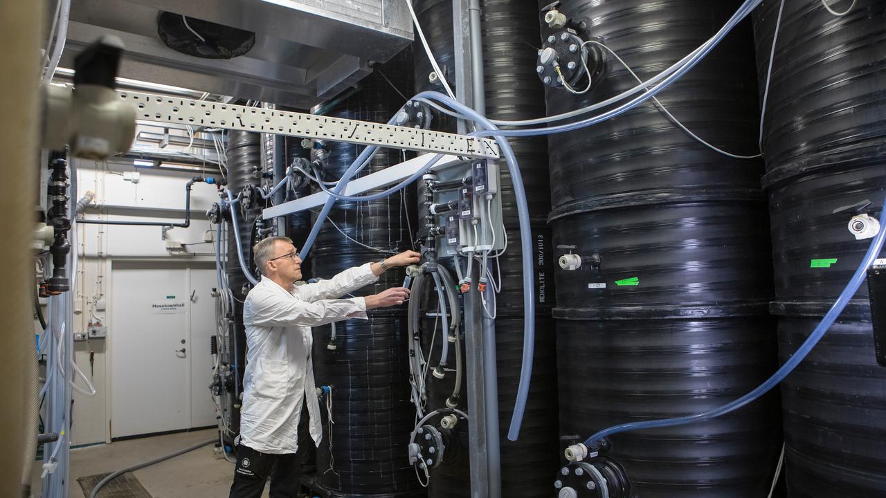 UMF Umeå marina forskningscentrum