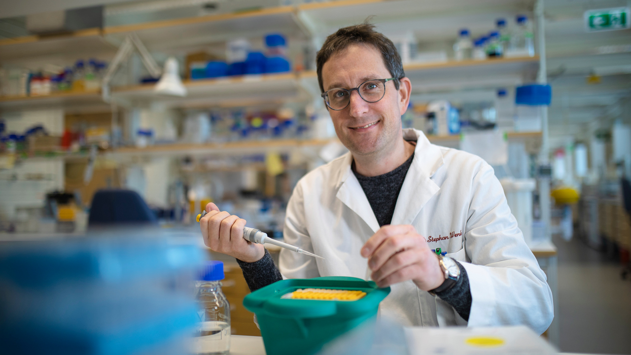 Umeå Plant Science Centre, växtforskning Stephan Wenkel